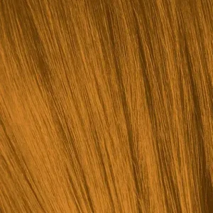 IGORA0_55