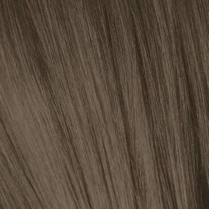 IGORA6_0