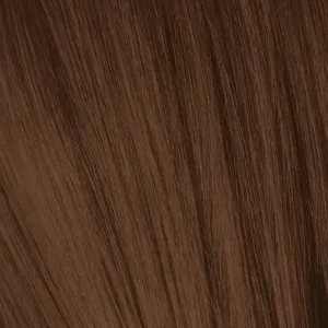 IGORA6_6