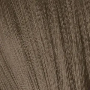 IGORA8_1