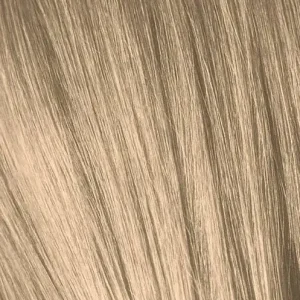 IGORA8_4