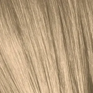 IGORA9_4