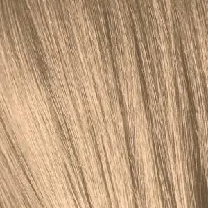 IGORA9_65