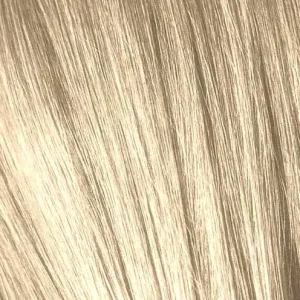 IGORA10_0