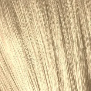 IGORA12_4